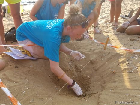 Волонтерство с черепахами-логгерхедами в Кефалонии