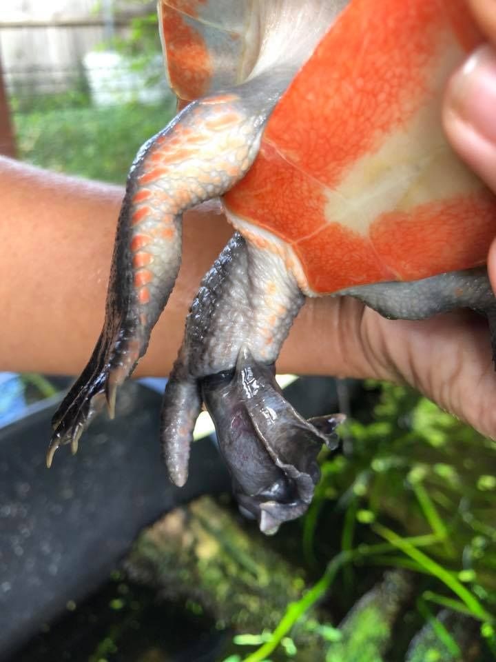 Төменгі колготкидегі порно Өзіңізді веб-камерадан көрсетіңіз