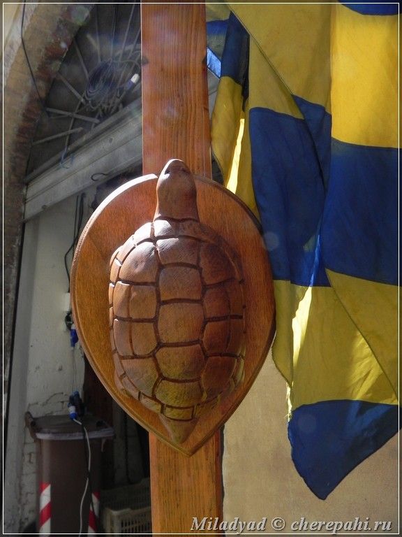 Округ черепах в Сиене, Италия