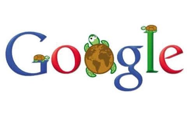 Всемирный день черепахи и другие праздники в честь черепах