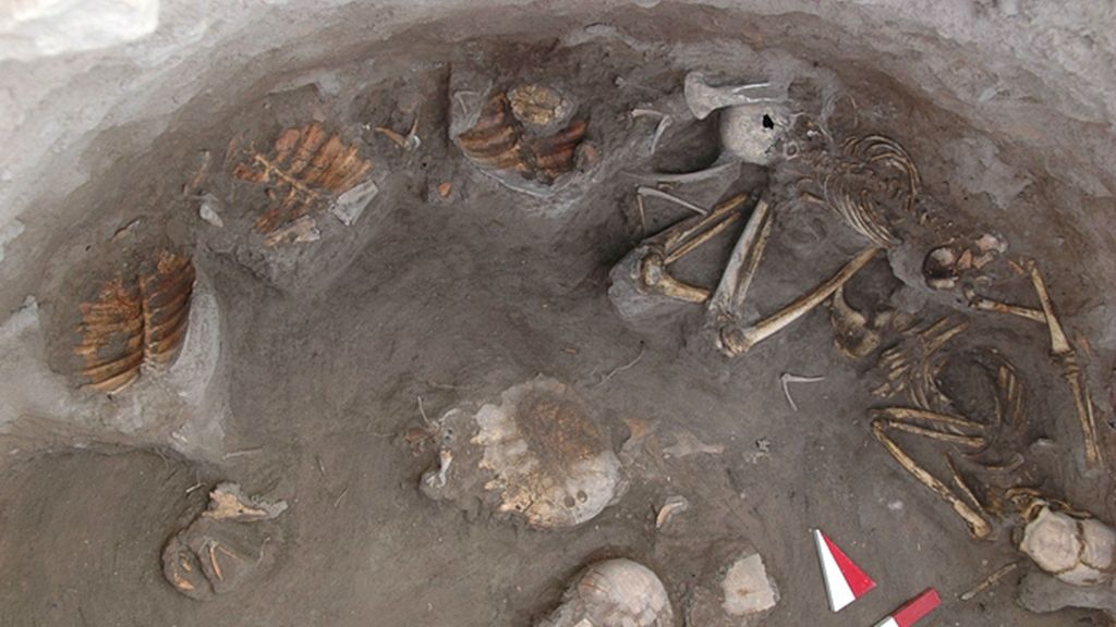 В Турции найдено древнейшее захоронение людей и черепах