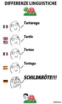 Слово "Черепаха" на разных языках мира
