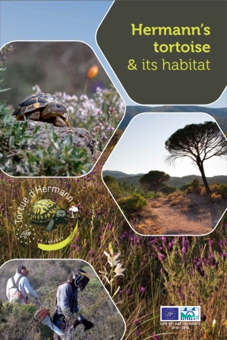 Hermann’s tortoise & its habitat