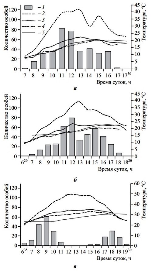 Рис. 4. Циклы суточной активности среднеазиатской черепахи Agrionemys horsfieldii в предгорьях хребта Нуратау (Узбекистан): a – унимодальный цикл (2.05.2003 г.), б – неполный бимодальный цикл (27.04.2004 г.), а – бимодальный цикл, 29.04.2005 г.; 1 – количество особей (левая шкала) и температура (правая шкала): 2 – поверхности субстрата, 3 – воздуха на высоте 2 см, 4 – воздуха на высоте 1.5 м, 5 – грунта на глубине 15 см.