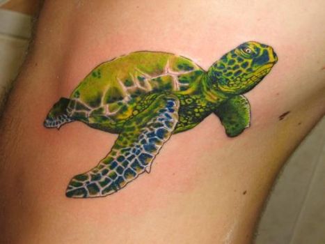 Черепахи на татуировках в стиле "реализм"
