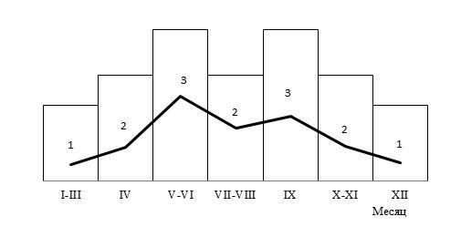Рис. 5 –  Динамика роста щитков за один календарный год: 1 – зимняя пауза; 2 – минимальная активность; 3 – максимальная активность