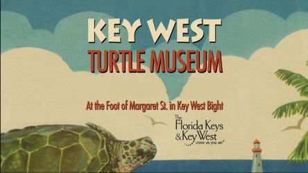 Key West Turtle Museum