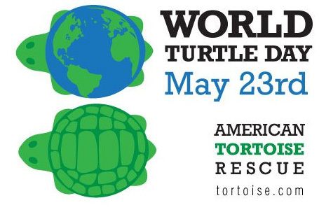 Всемирный день черепахи - 23 мая