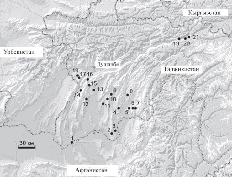 Пункты учета среднеазиатской черепахи Agrionemys horsfieldi в Южном Таджикистане