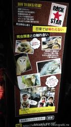 Кафе с рептилиями в Осаке, Япония