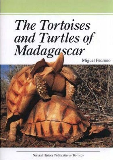 Сухопутные и водные черепахи Мадагаскара
