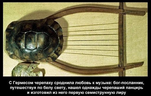 Лира из панциря черепахи в Древней Греции