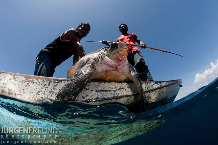 Ловля морских черепах