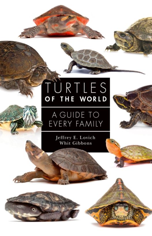 Turtles of the World 