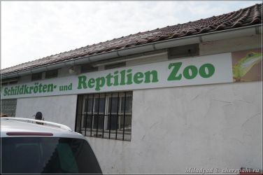 Черепаший зоопарк в Новом Ульме
